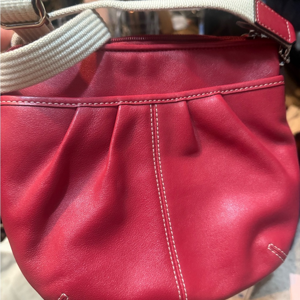 The Coach F42833 SV/CA Pleated Crossbody